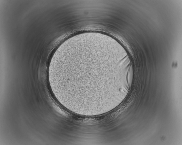 X0000097290445200803141514