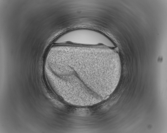 X0000097290446200803141514