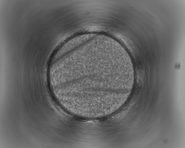 X0000097290447200803141514