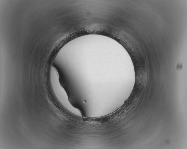X0000097290448200803141514