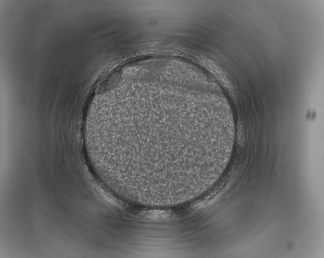 X0000097290449200803141514