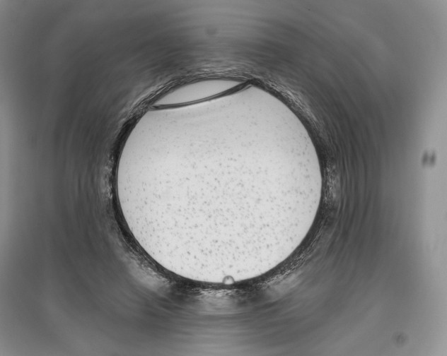 X0000097290450200803141514