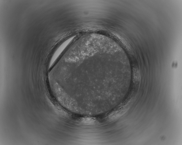 X0000097290451200803141514