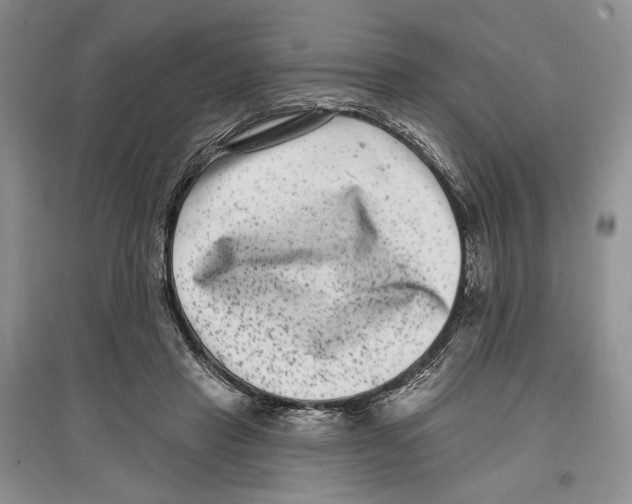 X0000097290453200803141514