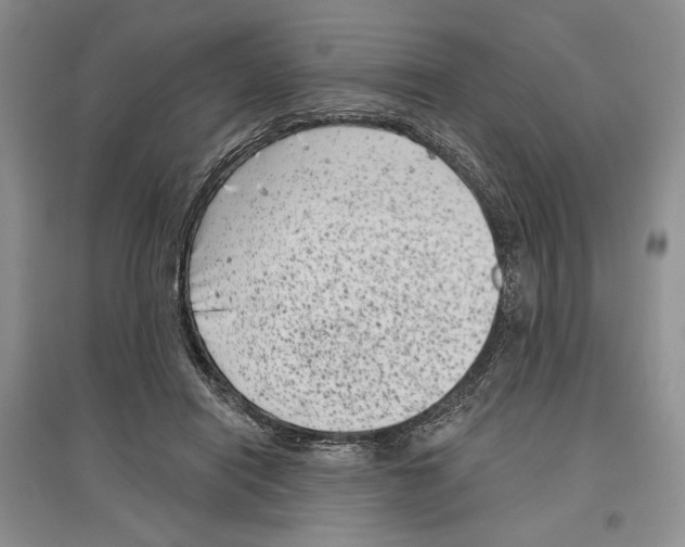 X0000097290454200803141514
