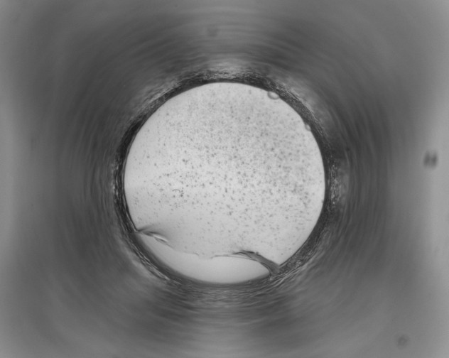 X0000097290455200803141514