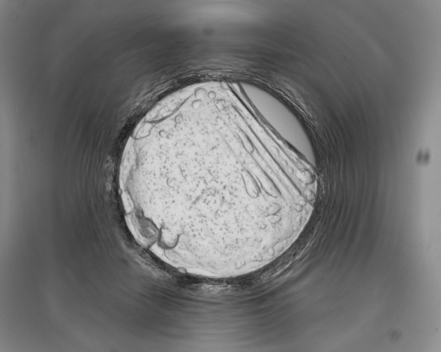 X0000097290458200803141514