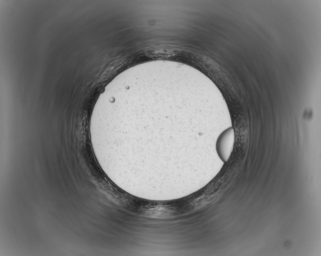 X0000097290460200803141514