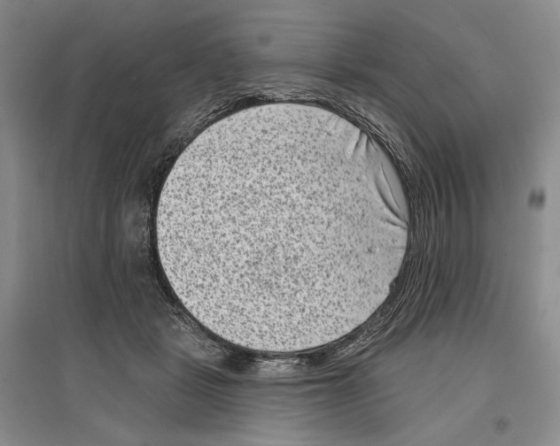 X0000097290461200803141514