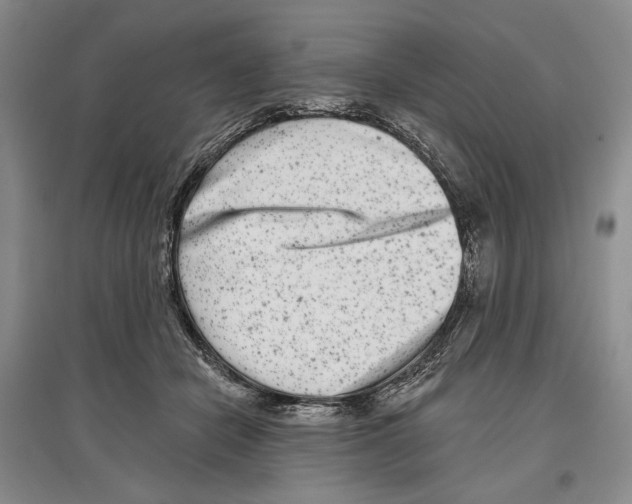 X0000097290462200803141514