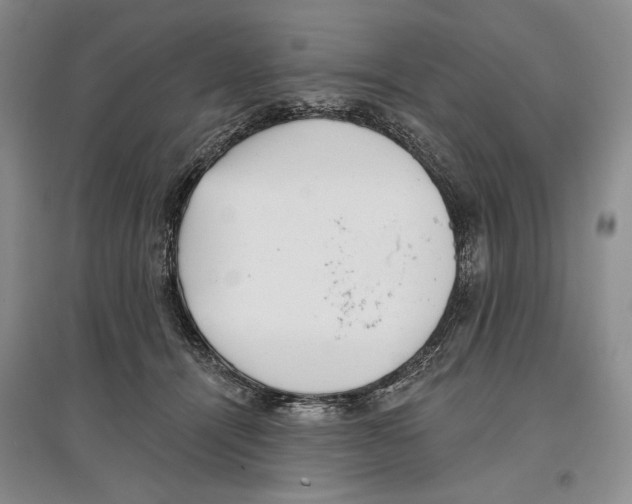 X0000097290464200803141514