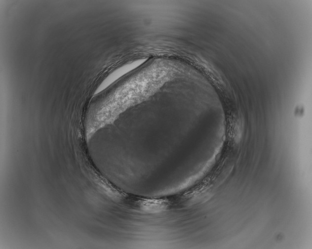 X0000097290465200803141514