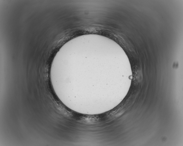 X0000097290466200803141514