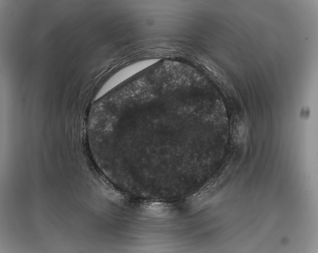 X0000097290467200803141514