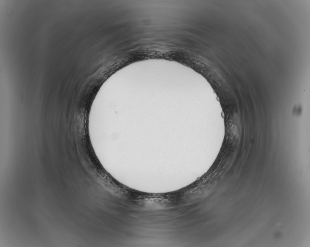 X0000097290468200803141514