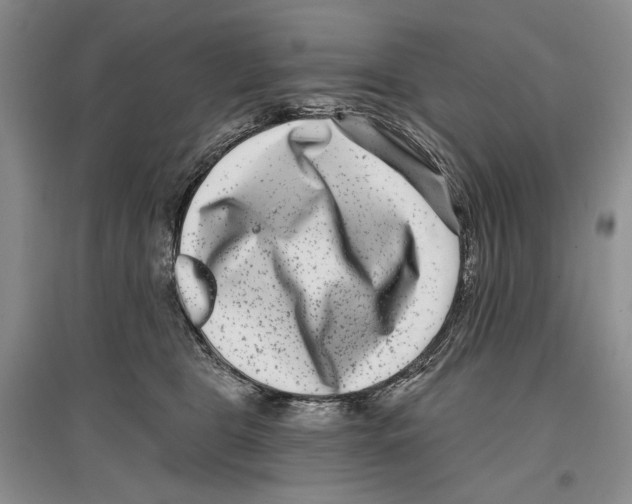 X0000097290469200803141514