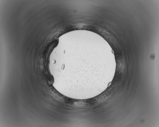 X0000097290470200803141514