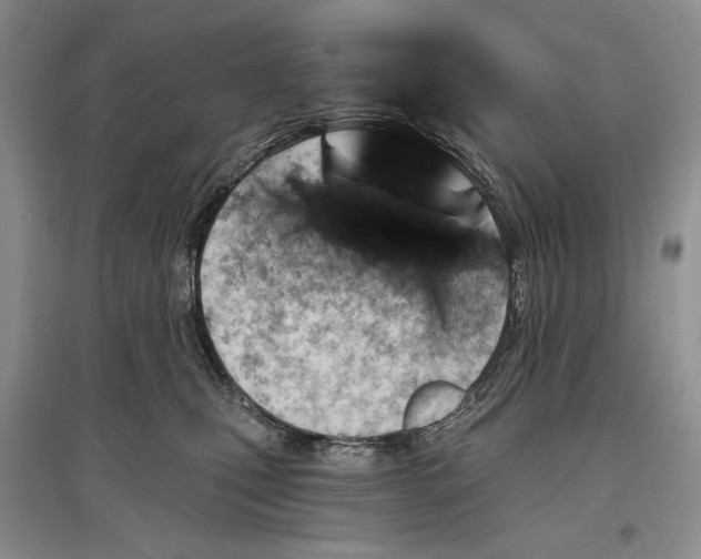 X0000097290471200803141514