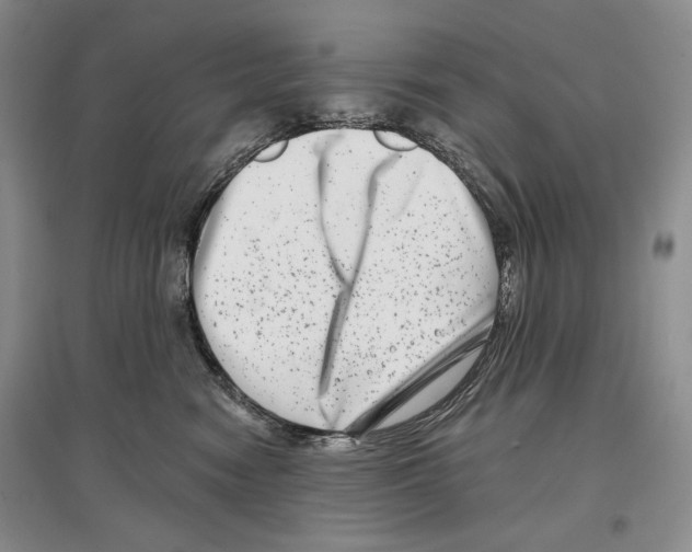 X0000097290474200803141514