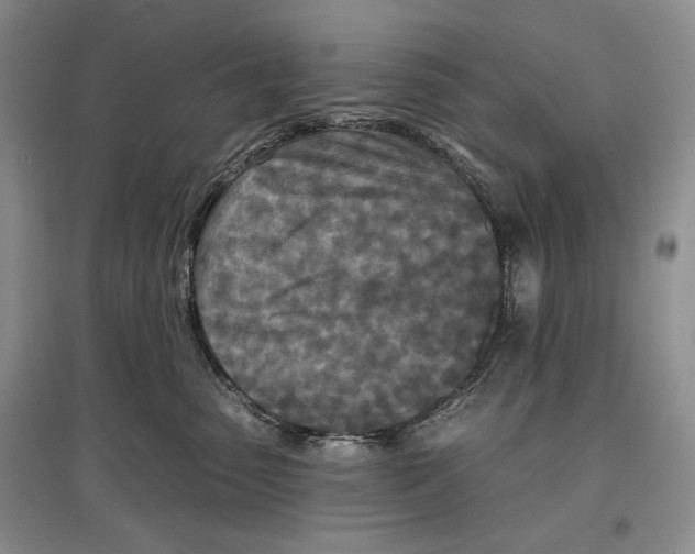 X0000097290475200803141514
