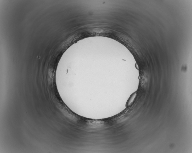 X0000097290476200803141514