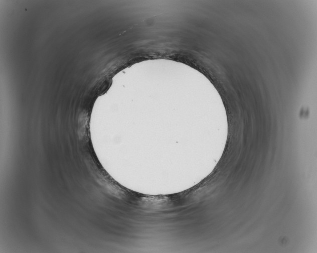 X0000097290480200803141514