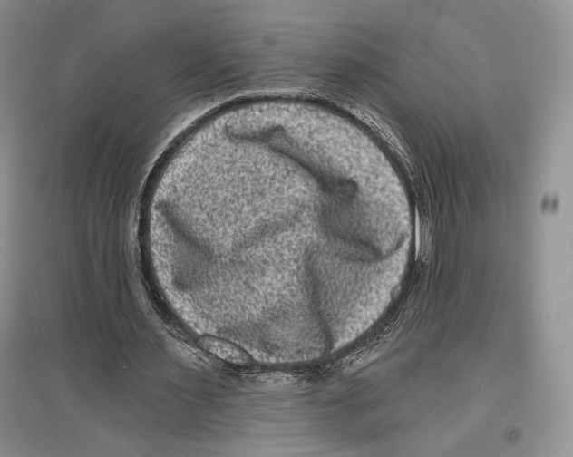X0000097290483200803141514