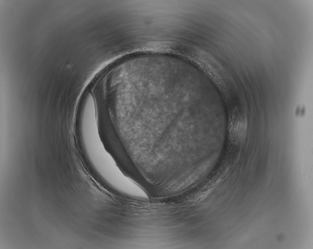 X0000097290484200803141514