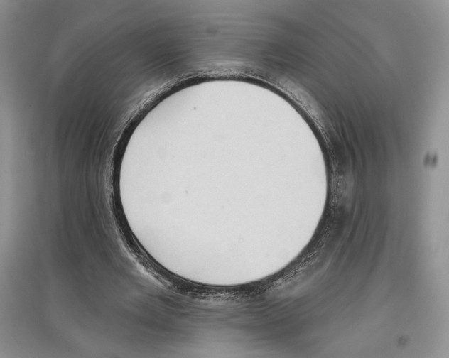 X0000097290485200803141514
