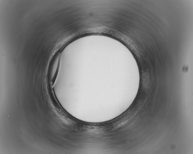 X0000097290486200803141514