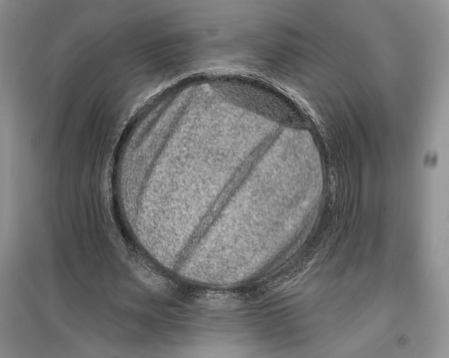 X0000097290487200803141514