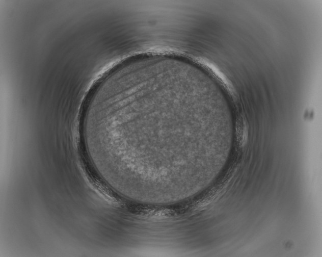 X0000097290488200803141513