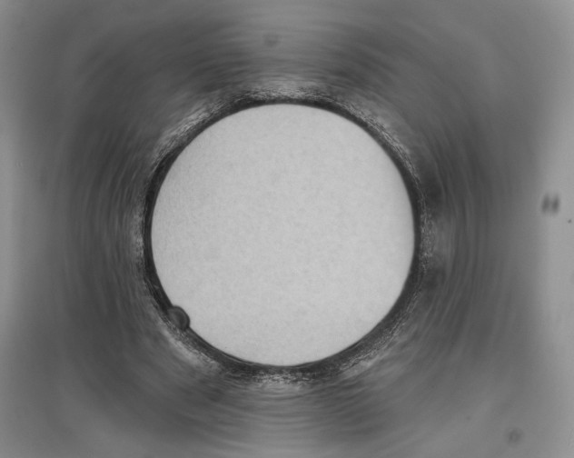 X0000097290489200803141513