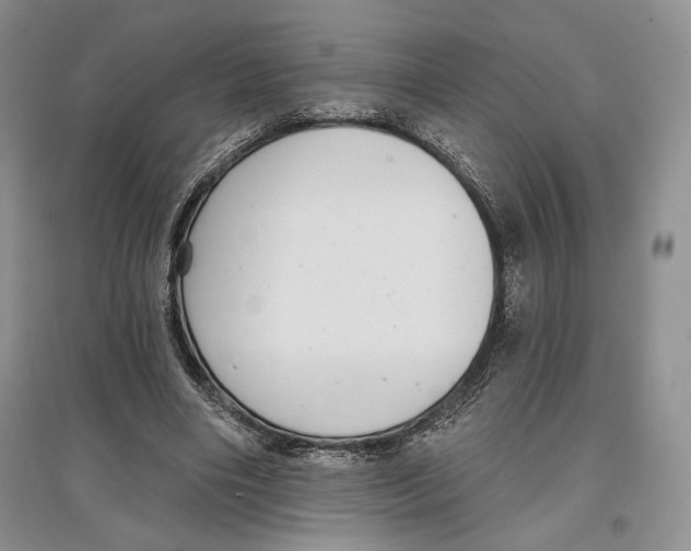 X0000097290490200803141513