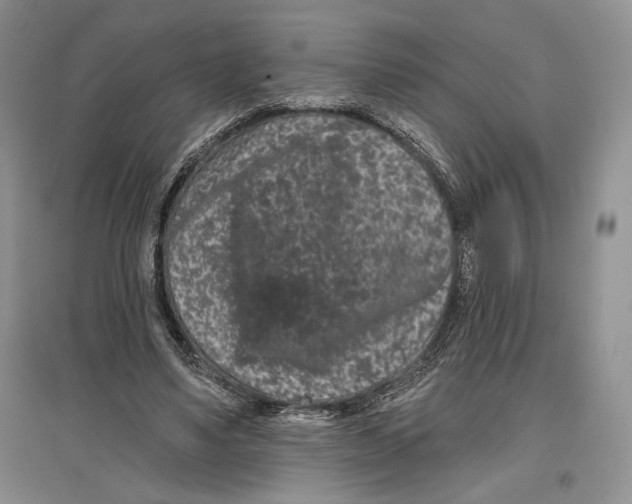 X0000097290491200803141513