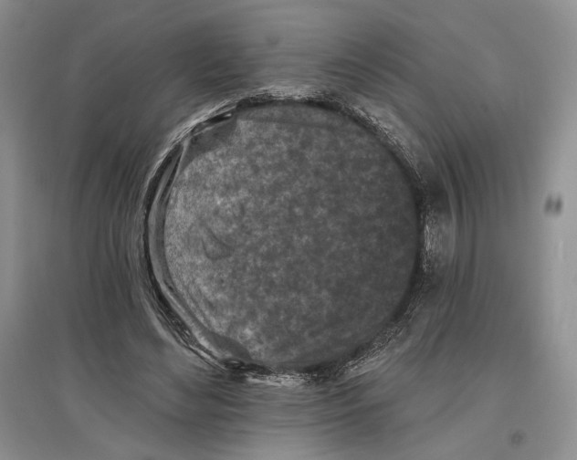 X0000097290492200803141513