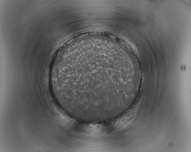 X0000097290493200803141513