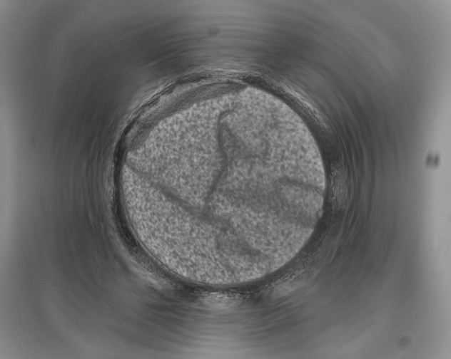 X0000097290494200803141513