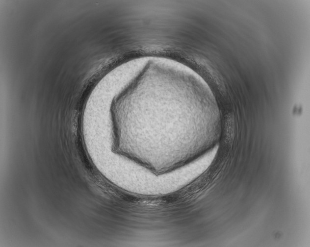 X0000097290495200803141513