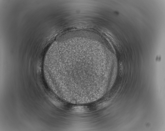 X0000097290499200803141513