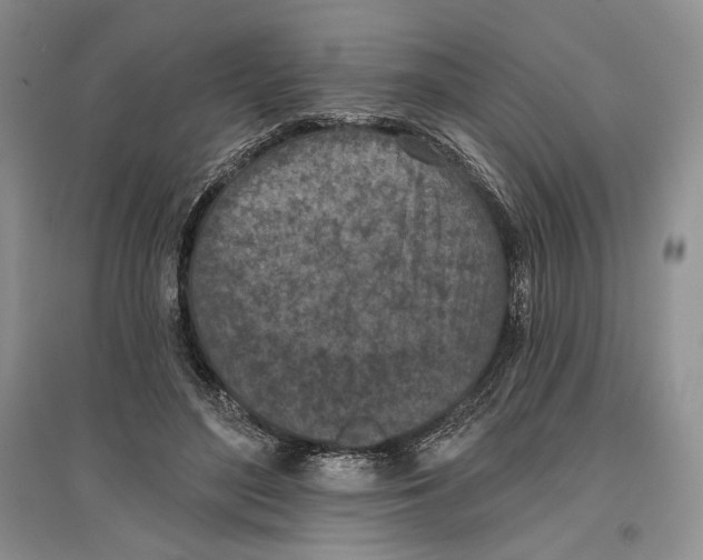 X0000097290500200803141513