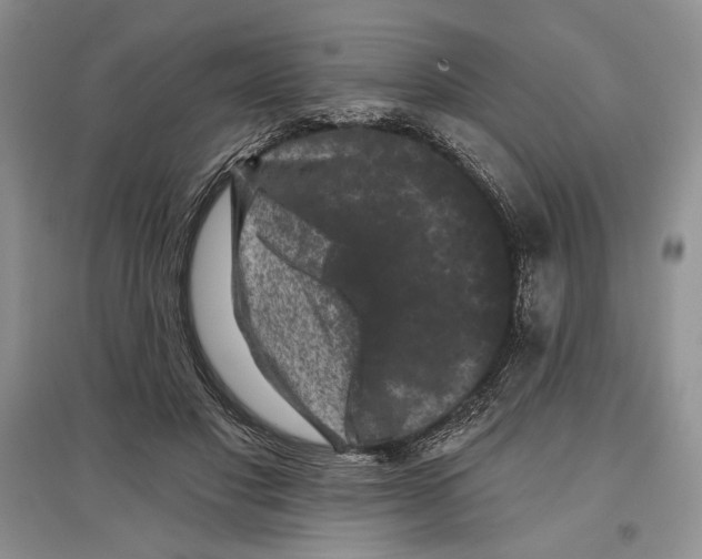 X0000097290501200803141513