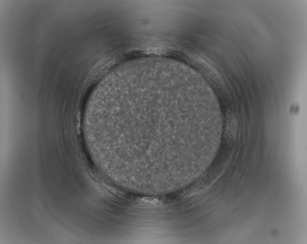 X0000097290502200803141513