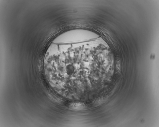 X0000097290503200803141513