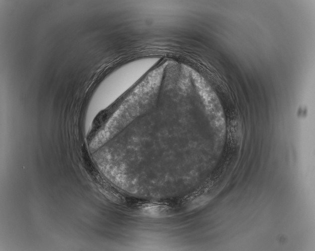 X0000097290504200803141513