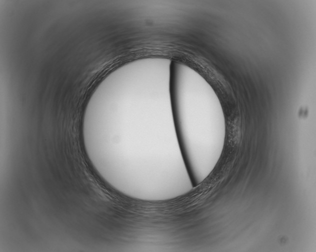 X0000097290505200803141513