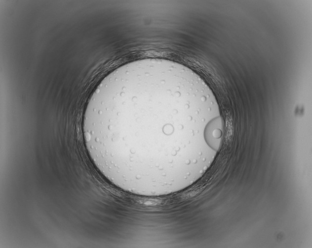 X0000097290506200803141513