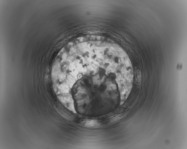 X0000097290507200803141513