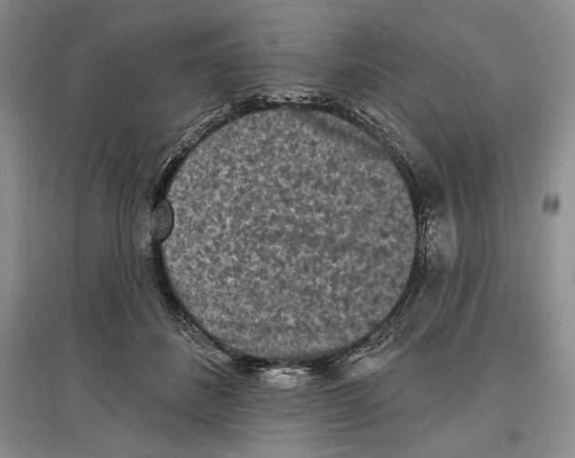 X0000097290508200803141513