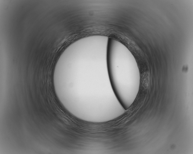 X0000097290509200803141513